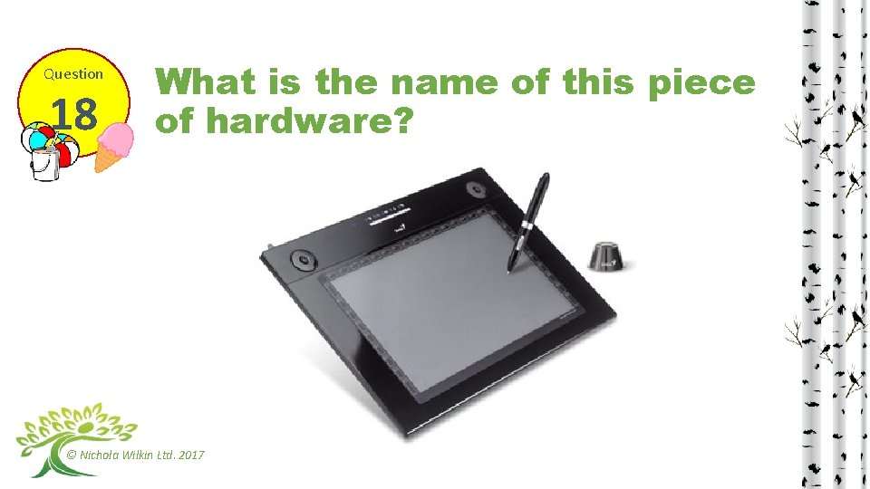 Question 18 What is the name of this piece of hardware? © Nichola Wilkin