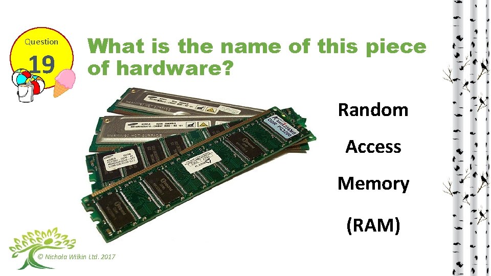Question 19 What is the name of this piece of hardware? Random Access Memory
