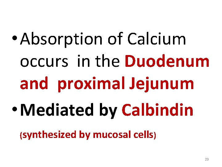  • Absorption of Calcium occurs in the Duodenum and proximal Jejunum • Mediated