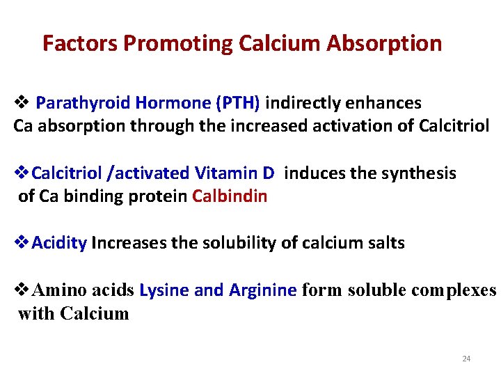 Factors Promoting Calcium Absorption v Parathyroid Hormone (PTH) indirectly enhances Ca absorption through the