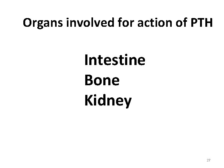 Organs involved for action of PTH Intestine Bone Kidney 27 