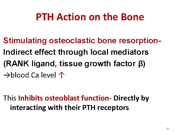 PTH Action on the Bone Stimulating osteoclastic bone resorption. Indirect effect through local mediators