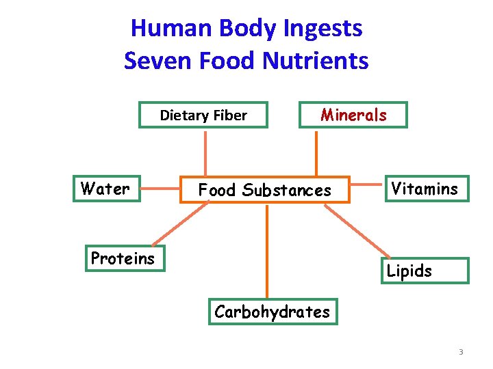 Human Body Ingests Seven Food Nutrients Dietary Fiber Water Minerals Food Substances Proteins Vitamins