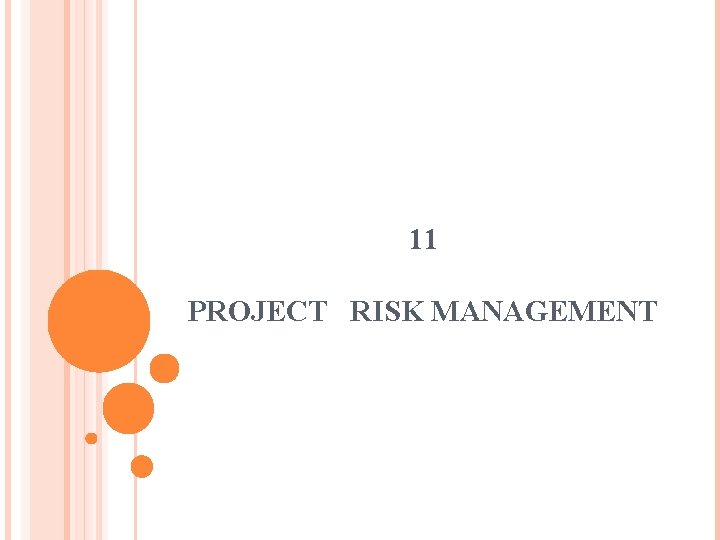 11 PROJECT RISK MANAGEMENT 