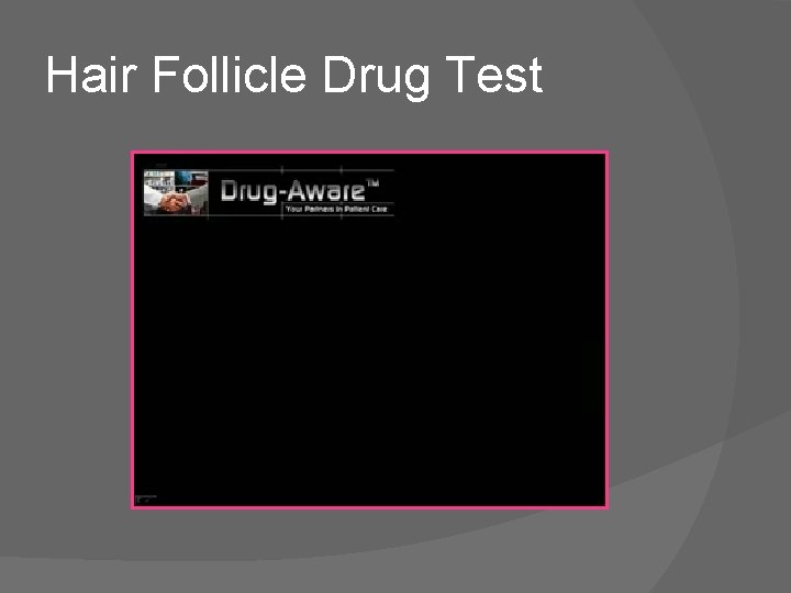 Hair Follicle Drug Test 