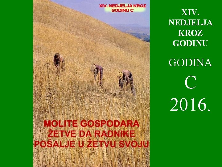 XIV. NEDJELJA KROZ GODINU GODINA C 2016. 