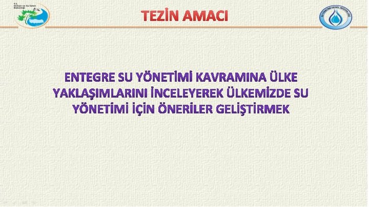 TEZİN AMACI 