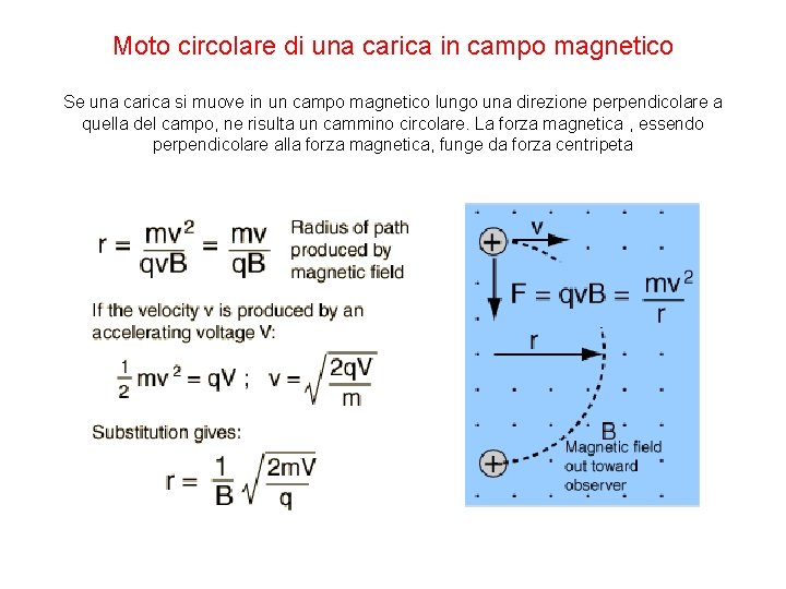 Moto circolare di una carica in campo magnetico Se una carica si muove in