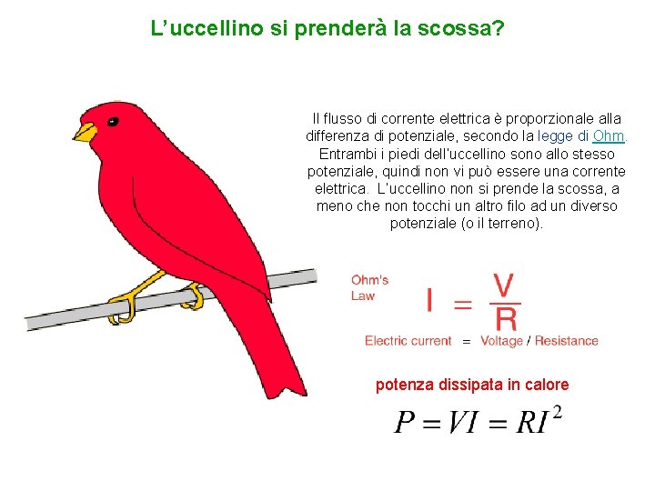 L’uccellino si prenderà la scossa? Il flusso di corrente elettrica è proporzionale alla differenza