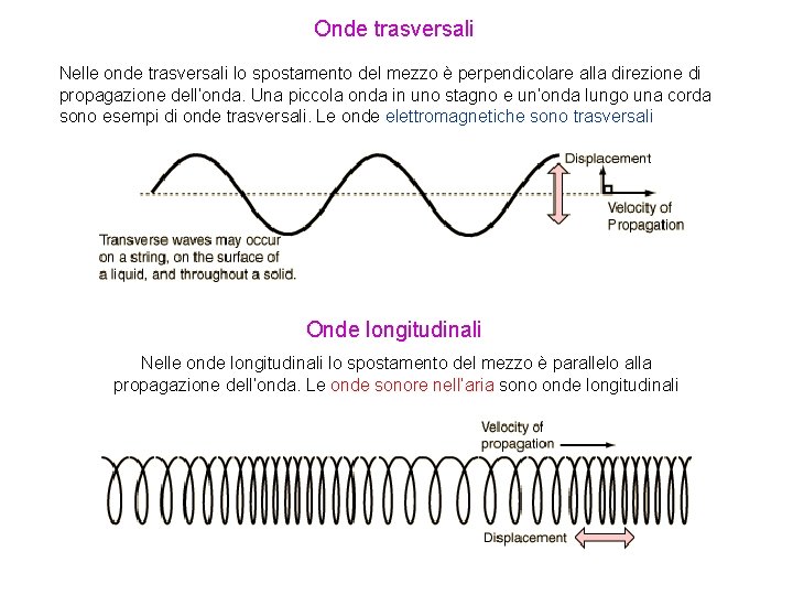 Onde trasversali Nelle onde trasversali lo spostamento del mezzo è perpendicolare alla direzione di