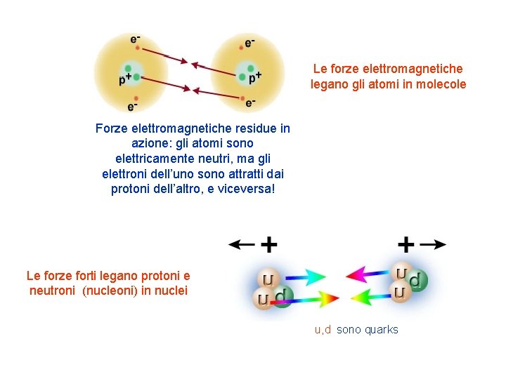 Le forze elettromagnetiche legano gli atomi in molecole Forze elettromagnetiche residue in azione: gli