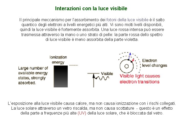 Interazioni con la luce visibile Il principale meccanismo per l’assorbimento dei fotoni della luce