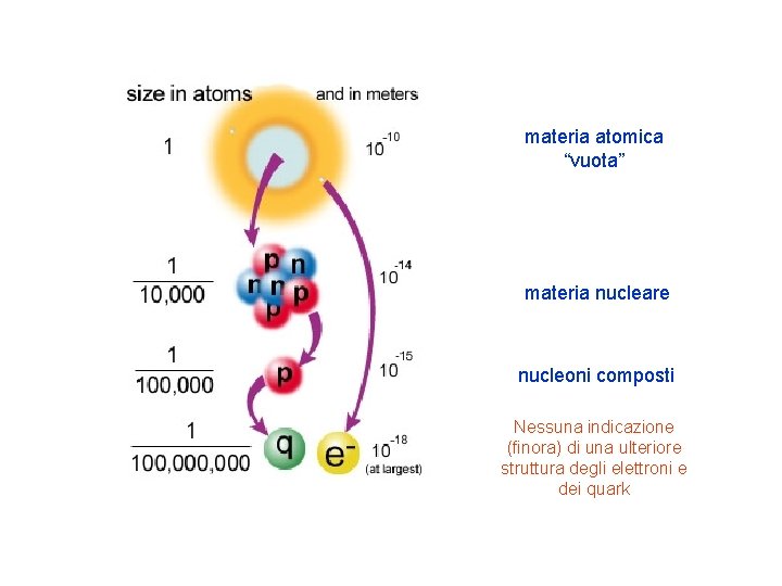 materia atomica “vuota” materia nucleare nucleoni composti Nessuna indicazione (finora) di una ulteriore struttura