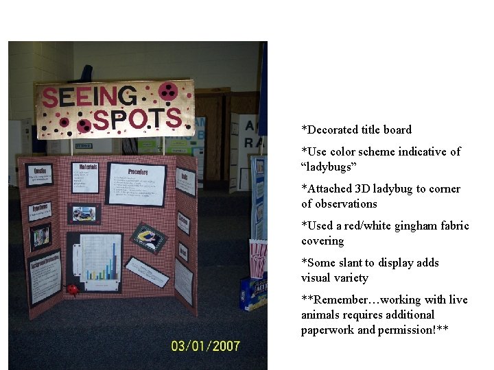 *Decorated title board *Use color scheme indicative of “ladybugs” *Attached 3 D ladybug to *Decorated title board *Use color scheme indicative of “ladybugs” *Attached 3 D ladybug to