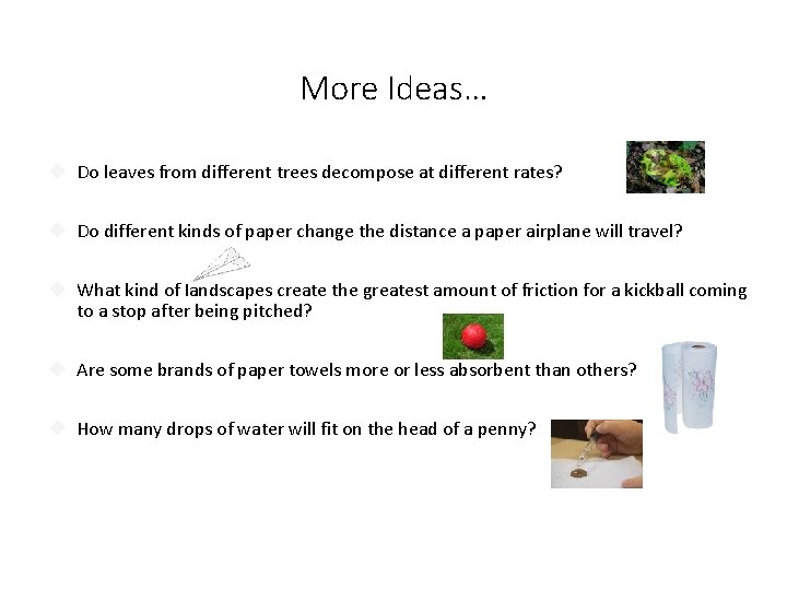 More Ideas… Do leaves from different trees decompose at different rates? Do different kinds More Ideas… Do leaves from different trees decompose at different rates? Do different kinds