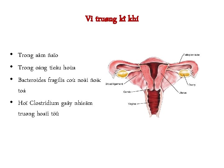 Vi truøng kî khí • Trong aâm ñaïo • Trong oáng tieâu hoùa •