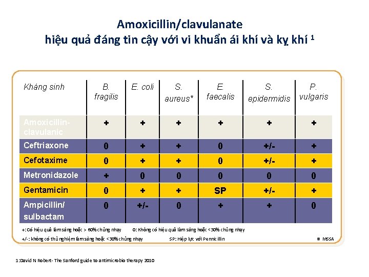 Amoxicillin/clavulanate hiệu quả đáng tin cậy với vi khuẩn ái khí và kỵ khí