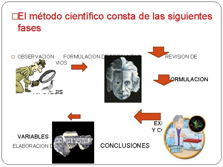 �El método científico consta de las siguientes fases � OBSERVACION FORMULACION DE PREGUNTAS REVISION