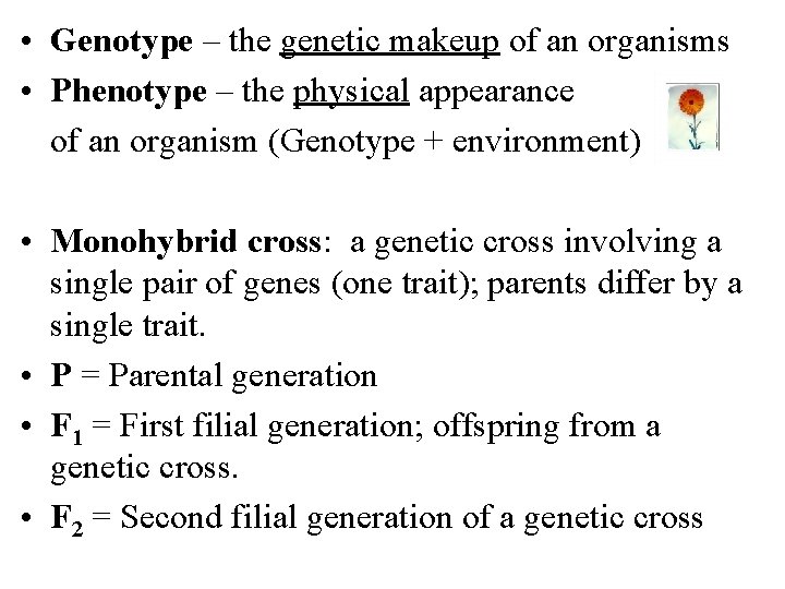  • Genotype – the genetic makeup of an organisms • Phenotype – the