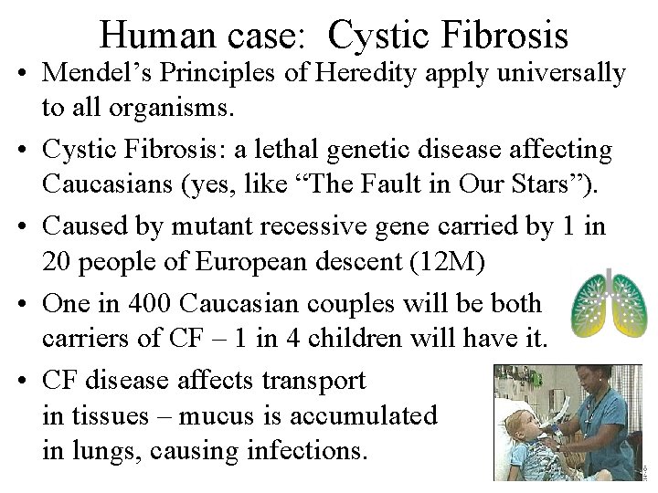 Human case: Cystic Fibrosis • Mendel’s Principles of Heredity apply universally to all organisms.