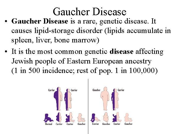 Gaucher Disease • Gaucher Disease is a rare, genetic disease. It causes lipid-storage disorder