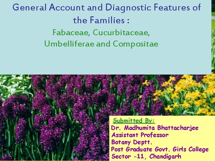 General Account and Diagnostic Features of the Families : Fabaceae, Cucurbitaceae, Umbelliferae and Compositae