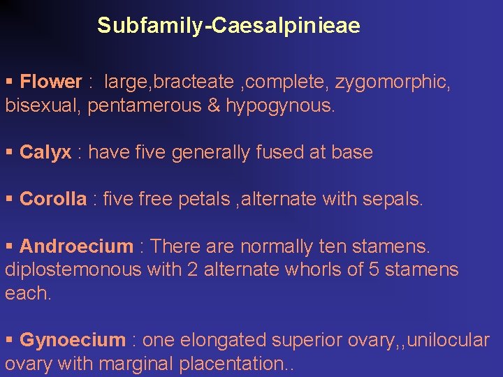 Subfamily-Caesalpinieae § Flower : large, bracteate , complete, zygomorphic, bisexual, pentamerous & hypogynous. §