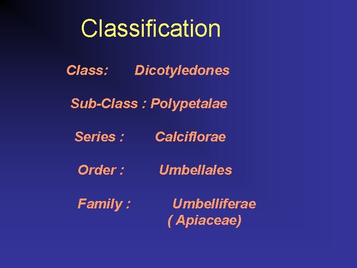 Classification Class: Dicotyledones Sub-Class : Polypetalae Series : Calciflorae Order : Umbellales Family :