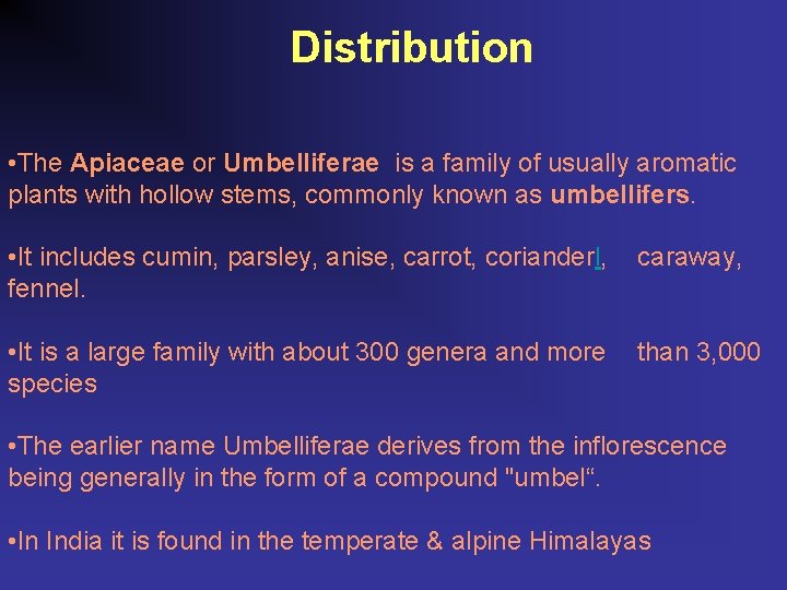 Distribution • The Apiaceae or Umbelliferae is a family of usually aromatic plants with