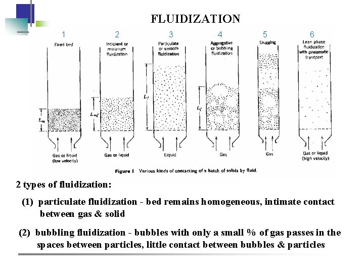 FLUIDIZATION 1 2 3 4 5 6 2 types of fluidization: (1) particulate fluidization