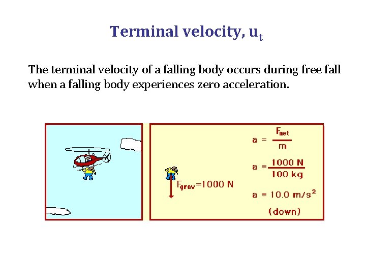 Terminal velocity, ut The terminal velocity of a falling body occurs during free fall