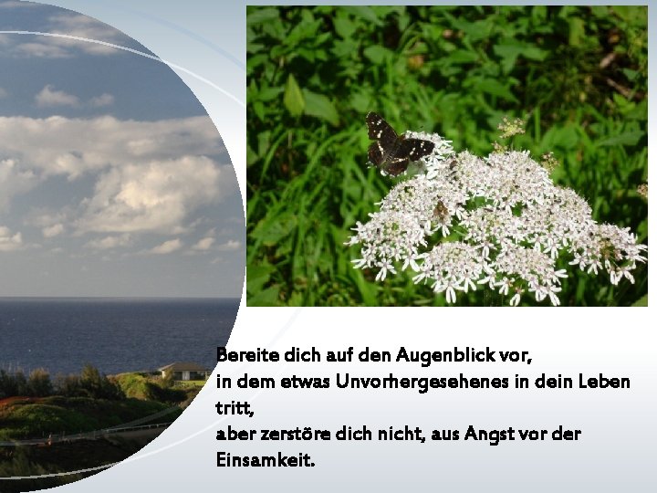 Bereite dich auf den Augenblick vor, in dem etwas Unvorhergesehenes in dein Leben tritt,