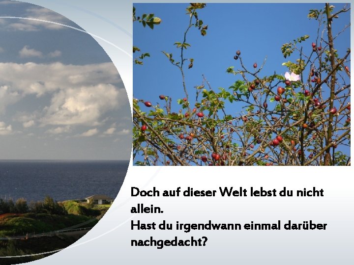 Doch auf dieser Welt lebst du nicht allein. Hast du irgendwann einmal darüber nachgedacht?