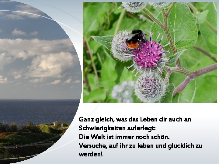 Ganz gleich, was das Leben dir auch an Schwierigkeiten auferlegt: Die Welt ist immer