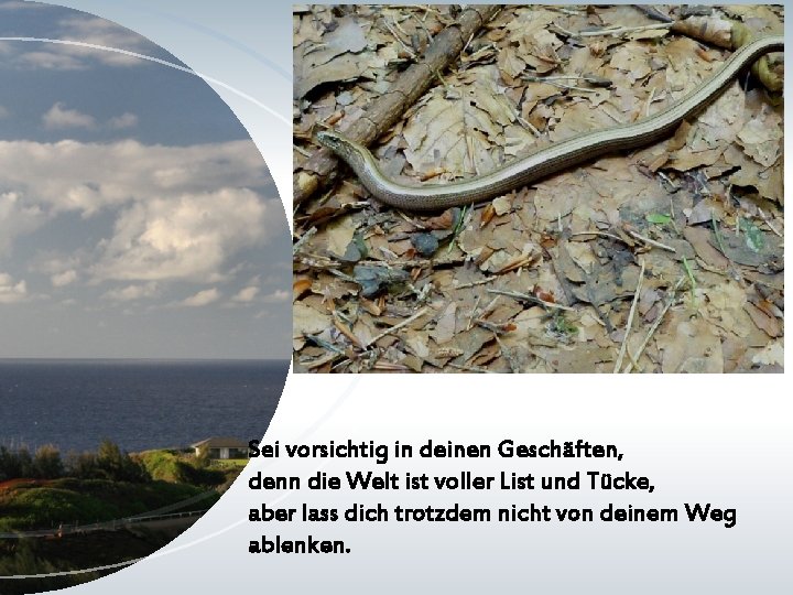 Sei vorsichtig in deinen Geschäften, denn die Welt ist voller List und Tücke, aber