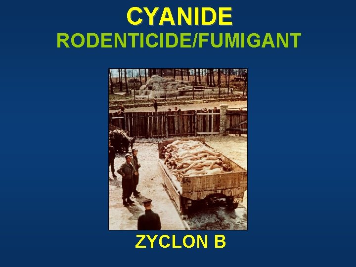 CYANIDE RODENTICIDE/FUMIGANT ZYCLON B 