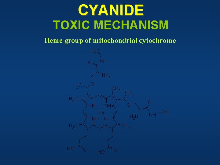 CYANIDE TOXIC MECHANISM Heme group of mitochondrial cytochrome 