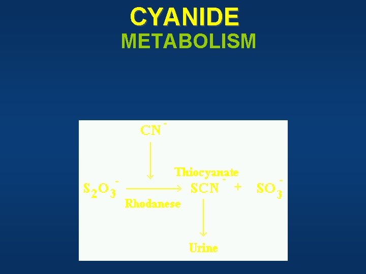 CYANIDE METABOLISM 