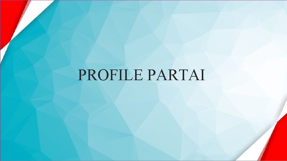 PROFILE PARTAI 