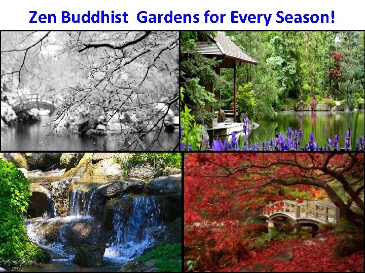 Zen Buddhist Gardens for Every Season! 