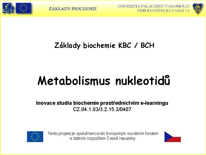 Základy biochemie KBC / BCH Metabolismus nukleotidů Inovace studia biochemie prostřednictvím e-learningu CZ. 04.