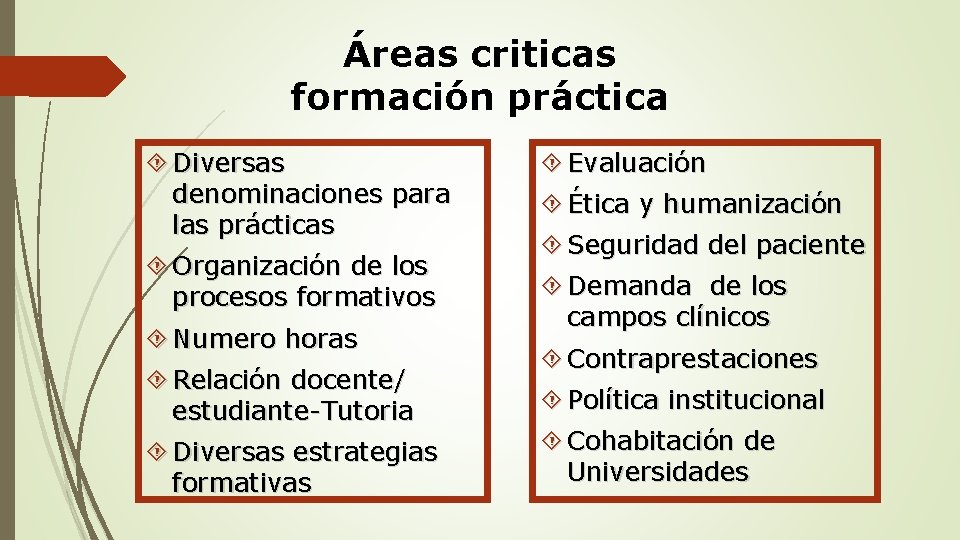 Áreas criticas formación práctica Diversas denominaciones para las prácticas Organización de los procesos formativos