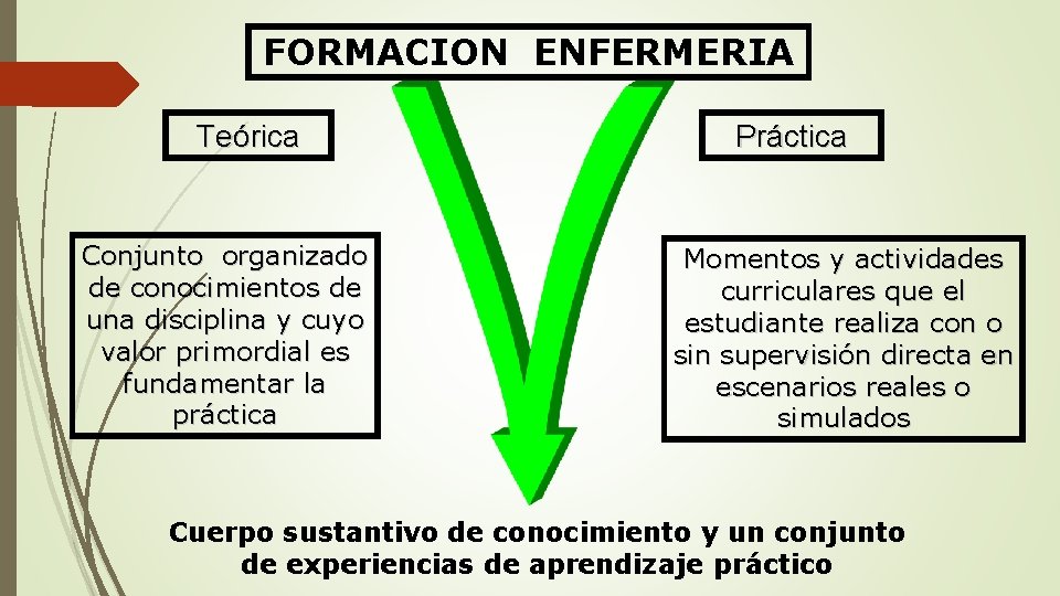 FORMACION ENFERMERIA Teórica Conjunto organizado de conocimientos de una disciplina y cuyo valor primordial