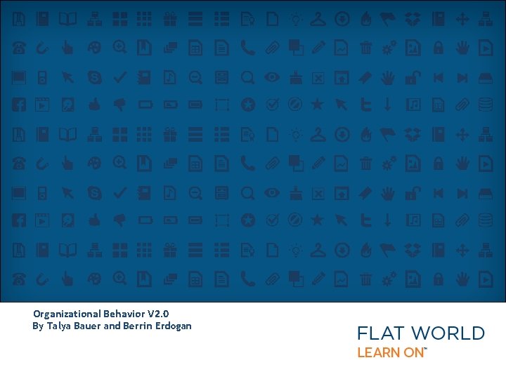 Organizational Behavior V 2. 0 By Talya Bauer and Berrin Erdogan 