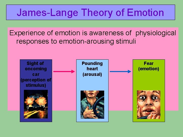 James-Lange Theory of Emotion Experience of emotion is awareness of physiological responses to emotion-arousing James-Lange Theory of Emotion Experience of emotion is awareness of physiological responses to emotion-arousing