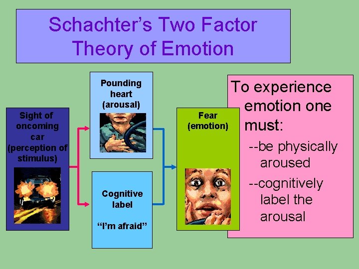 Schachter’s Two Factor Theory of Emotion Pounding heart (arousal) Sight of oncoming car (perception Schachter’s Two Factor Theory of Emotion Pounding heart (arousal) Sight of oncoming car (perception
