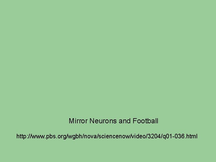 Mirror Neurons and Football http: //www. pbs. org/wgbh/nova/sciencenow/video/3204/q 01 -036. html Mirror Neurons and Football http: //www. pbs. org/wgbh/nova/sciencenow/video/3204/q 01 -036. html