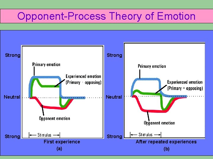Opponent-Process Theory of Emotion Strong Neutral Strong First experience (a) After repeated experiences (b) Opponent-Process Theory of Emotion Strong Neutral Strong First experience (a) After repeated experiences (b)