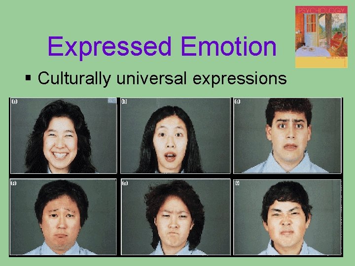 Expressed Emotion § Culturally universal expressions Expressed Emotion § Culturally universal expressions