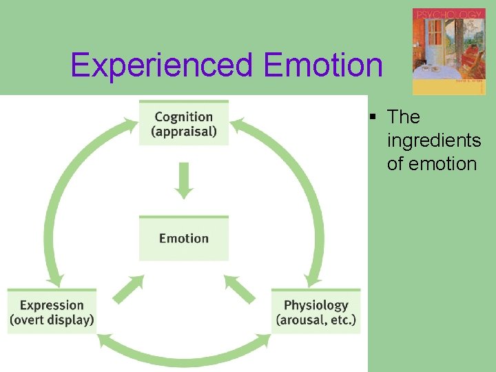 Experienced Emotion § The ingredients of emotion Experienced Emotion § The ingredients of emotion